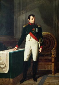 Retrato de Napoleón Bonaparte (1769-1821) 1809